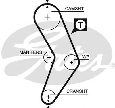 5662XS GATES Ремень ГРМ