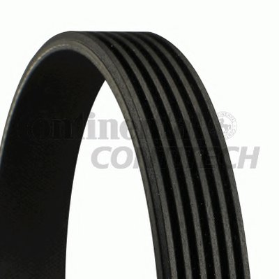 V-Ribbed Belts CONTITECH купить