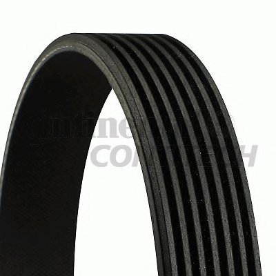 7PK1980 CONTITECH V-Ribbed Belts