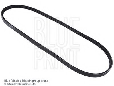 AD03S842 BLUE PRINT V-Ribbed Belts