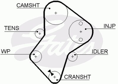 5049 GATES Ремень ГРМ