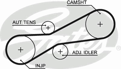 5494XS GATES Ремень ГРМ