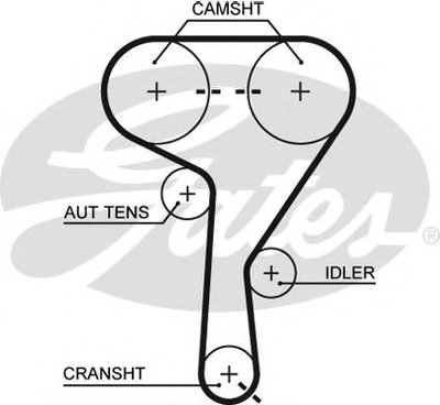 5603XS GATES Ремень ГРМ