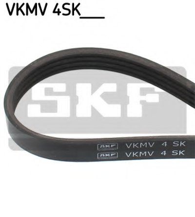 VKMV4SK663 SKF V-Ribbed Belts