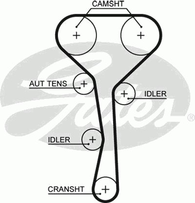 5507XS GATES Ремень ГРМ