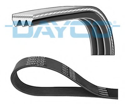 3PK884 DAYCO V-Ribbed Belts