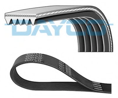 V-Ribbed Belts DAYCO купить