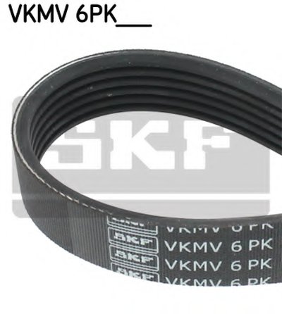 VKMV6PK1962 SKF V-Ribbed Belts