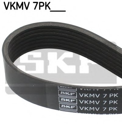 VKMV7PK1080 SKF V-Ribbed Belts