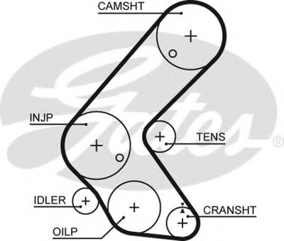 5679XS GATES Ремень ГРМ