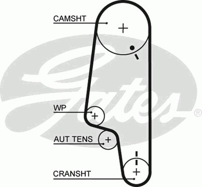 5427XS GATES Ремень ГРМ